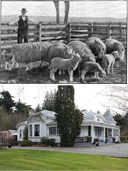 Altrive® Deer Farm - Early Years & Farmhouse