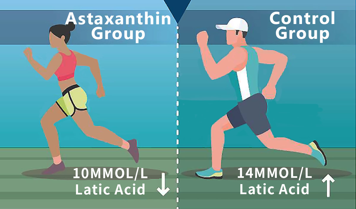 AstaReal™ Astaxanthin reduces lactic acid accumulation1