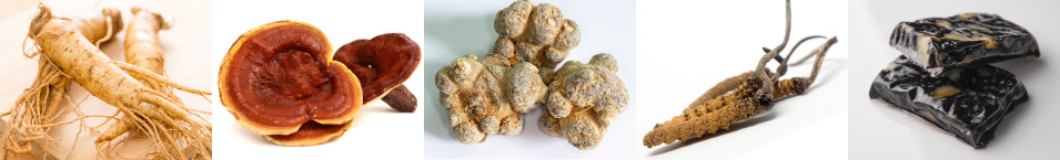Professor Gu Baoqun of Nanjing University of Chinese Medicine published an article titled 'Research Progress on Longevity & Anti-aging Chinese Medicine', based on traditional Chinese medicine research using modern science and technology. The top animal-based ingredient is DEER VELVET ANTLER which is far superior to Reishi Mushrooms (lingzhi) and Caterpillar Fungus (cordyceps).