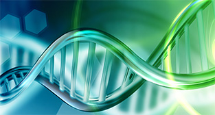 Kidney-Yang Deficiency - RNA, DNA is directly linked to the Western medical “neuroendocrine-immune.