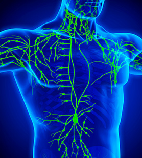 TCM “Kidney-Yang Deficiency Syndrome” is directly linked to the Western medical “neuroendocrine-immune”.