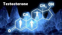 Men’s testosterone starts declining at the age of 19