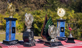 NutritiveZ™ Altrive® Red Deer Farm is the accumulative #1 award winning red deer velvet farm in NZ, in the NZ Annual National Velvet & Trophy Antler Competition organised by National New Zealand Deer Farmers Association since 2012.