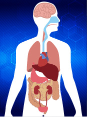 Professor Gu Baoqun of Nanjing University of Chinese Medicine published an article titled "Research Progress on Longevity & Anti-aging Chinese Medicine", based on traditional Chinese medicine research using modern science and technology. The top animal-based ingredient is DEER VELVET ANTLER which is far superior to Reishi Mushrooms / Lingzhi (ganoderma) and Caterpillar Fungus (cordyceps).