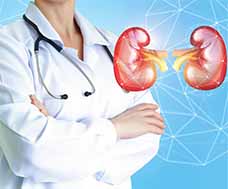 Poor kidney function leads to a buildup of toxins in the blood. Toxins damage enzymes, causing a reduction of oxygen in blood and a slow-down of cell metabolism. The consequences are fatigue, accelerated aging and increased risk of health issues (e.g. heart diseases, diabetes, osteoporosis).