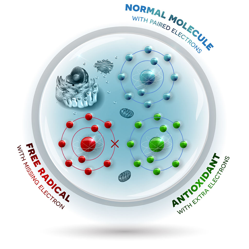 Molecule types explained, normal molecules,free radicals and antioxidant molecules in regards to astaxanthin advantage for arthritis