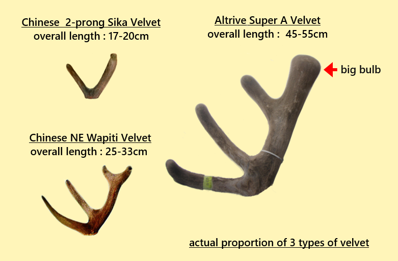 NZ SA Grade Red Deer Velvet_vs_Sika Deer Velvet