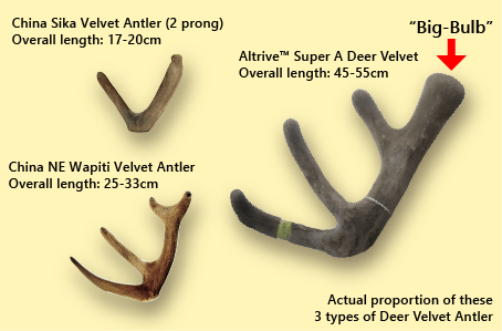 Altrive NZ Superior SA Grade Deer Velvet compared to inferior low bio-activity China Sika deer velvet